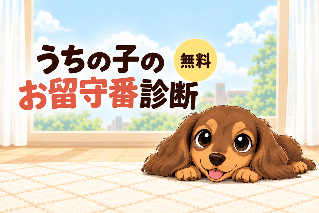 お留守番診断をはじめる