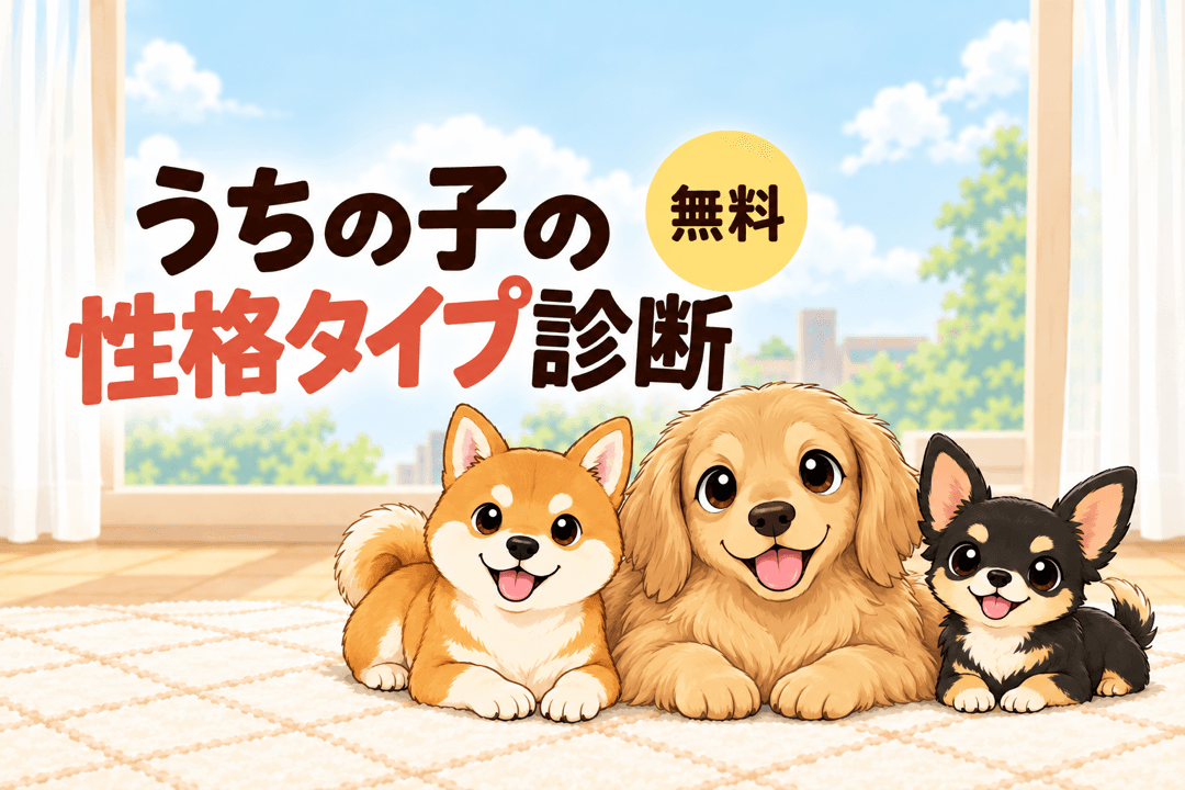 性格タイプ診断をはじめる